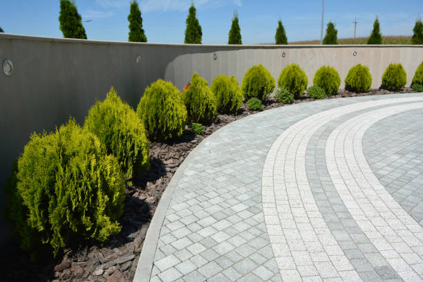 Best Commercial Driveway Pavers  in Petersburg, AK